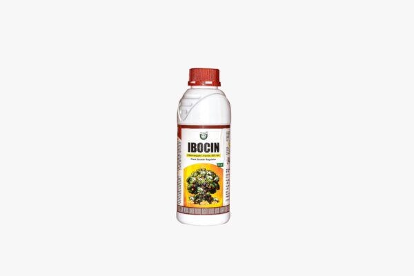 Ibocin