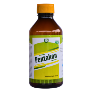 PENTAKON - Image 1
