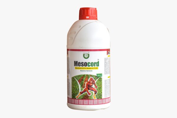 Mesocord